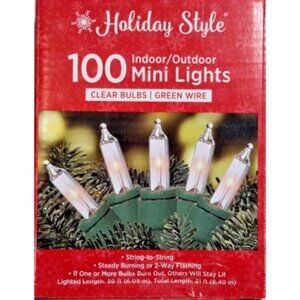 Holiday Style 100 Indoor/Outdoor Mini Lights With Clear Bulbs & Green Wire - 20